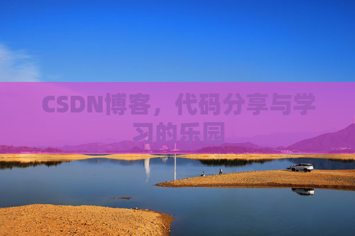 CSDN博客，代码分享与学习的乐园